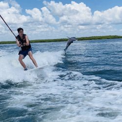 Male wakesurfing with dolphin jumping out of the water