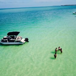 Four people playing in the water alongside a Pontoon
